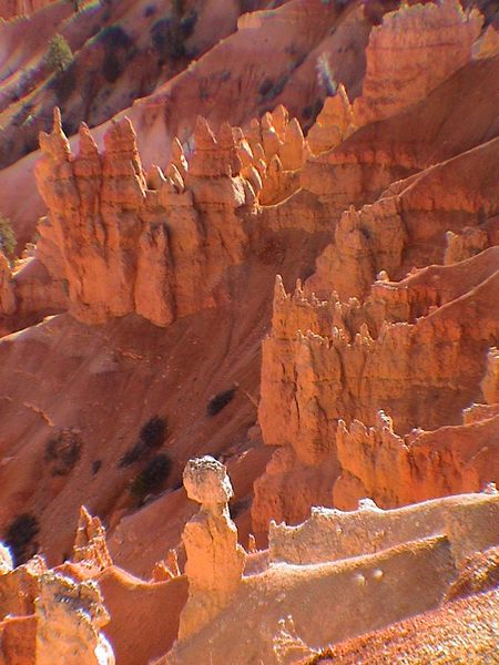 Bryce Canyon - Wanderer