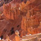 Bryce Canyon - Wanderer