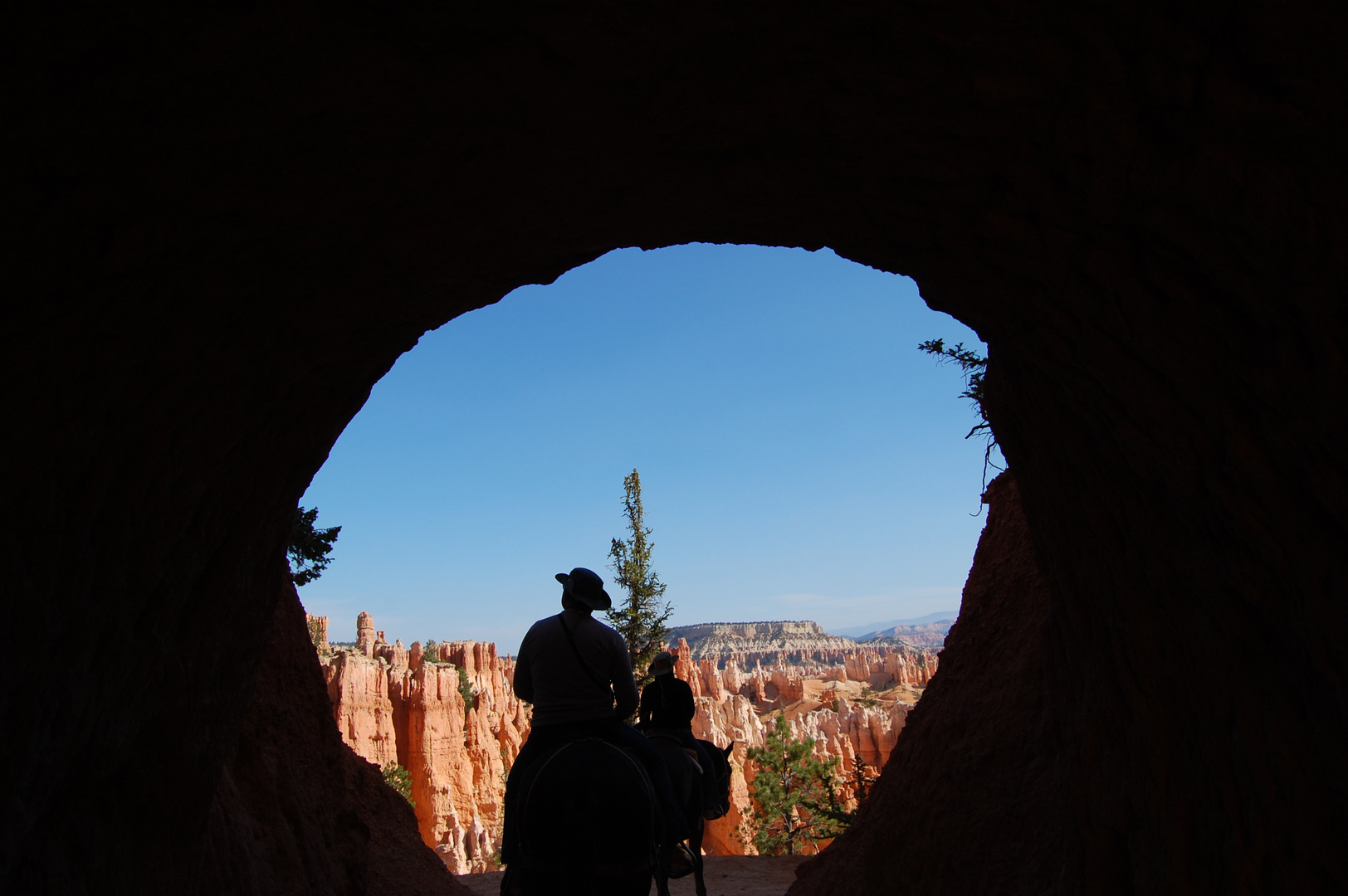 Bryce Canyon zu Pferde...USA 2009