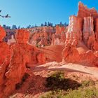 Bryce-Canyon_1