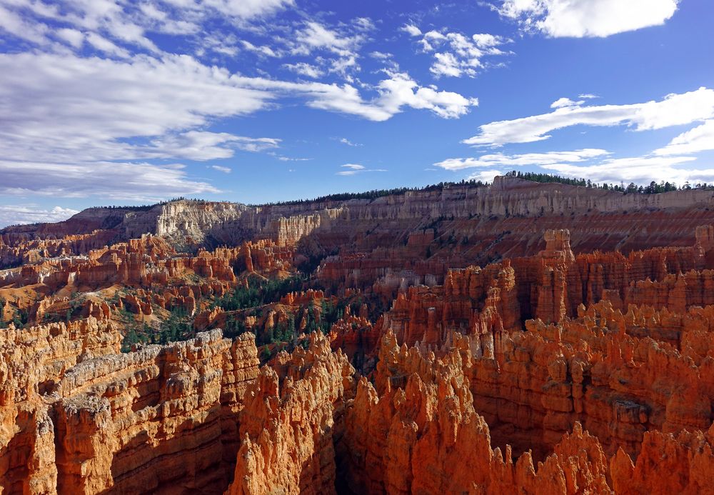 Bryce Canyon'16