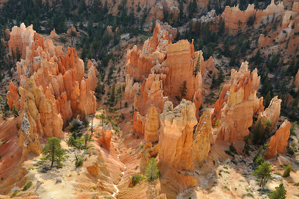 Bryce - Hoodoos