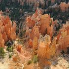 Bryce - Hoodoos