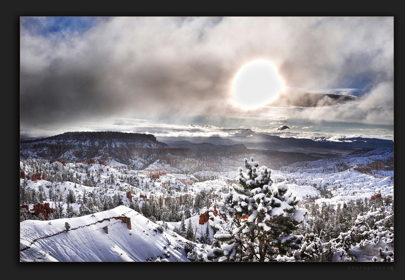 Bryce in Weiss