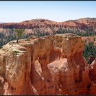 Bryce Insel