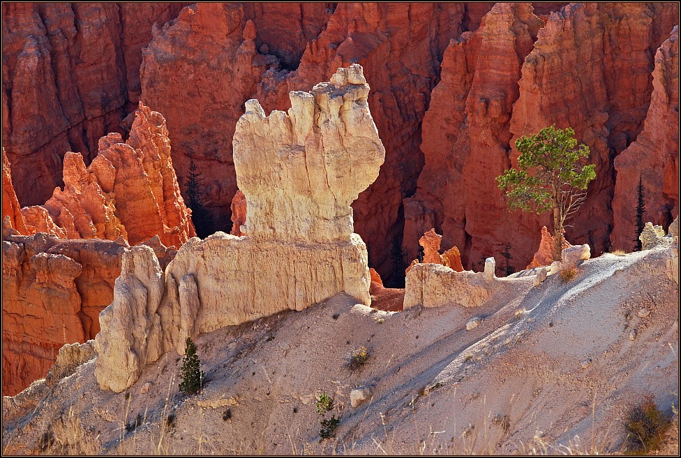 Bryce Morning