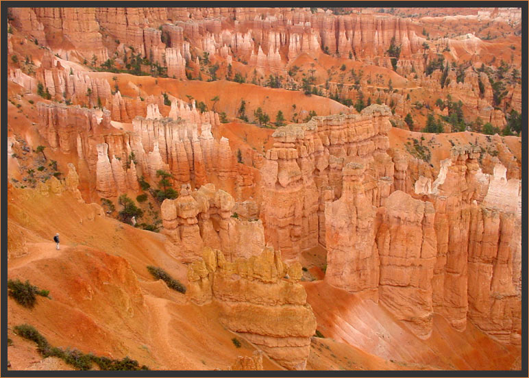 Bryce nach dem Regen (2)