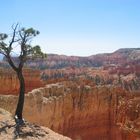 Bryce National Park