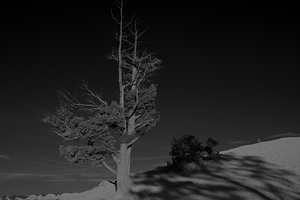 Bryce Nationalpark