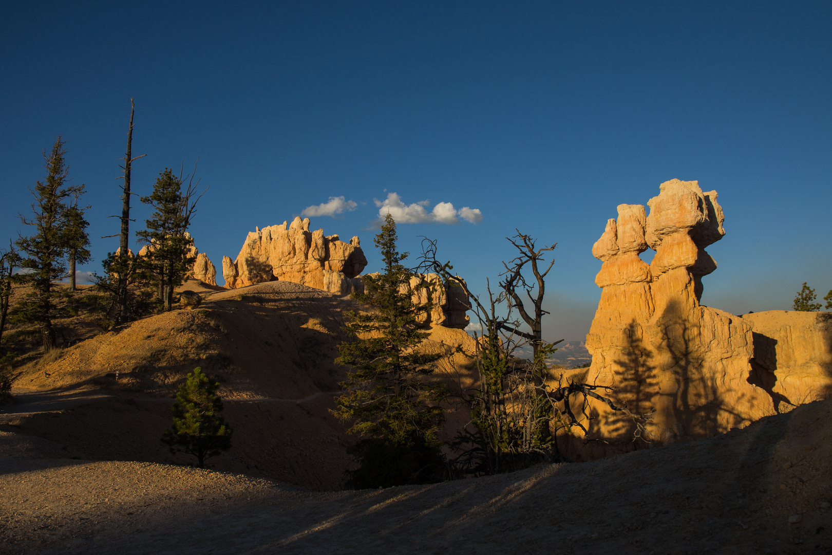 Bryce Nationalpark USA 0133