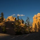 Bryce Nationalpark USA 0133