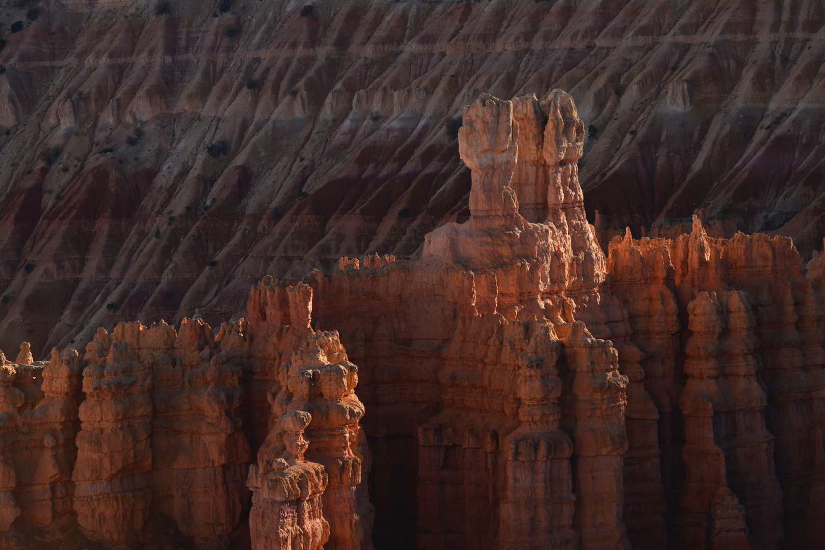 Bryce NP