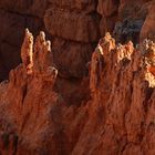 Bryce NP