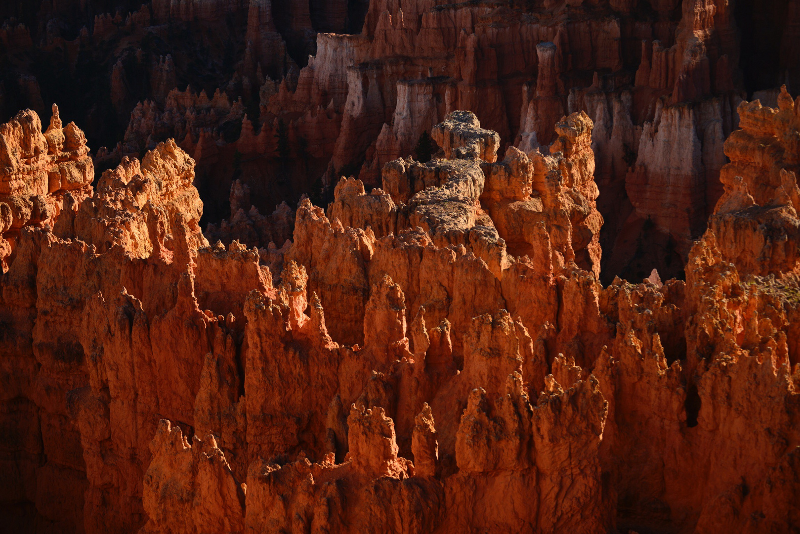 Bryce NP