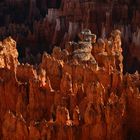 Bryce NP