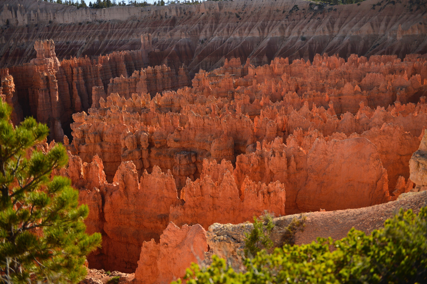 Bryce NP