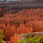 Bryce NP