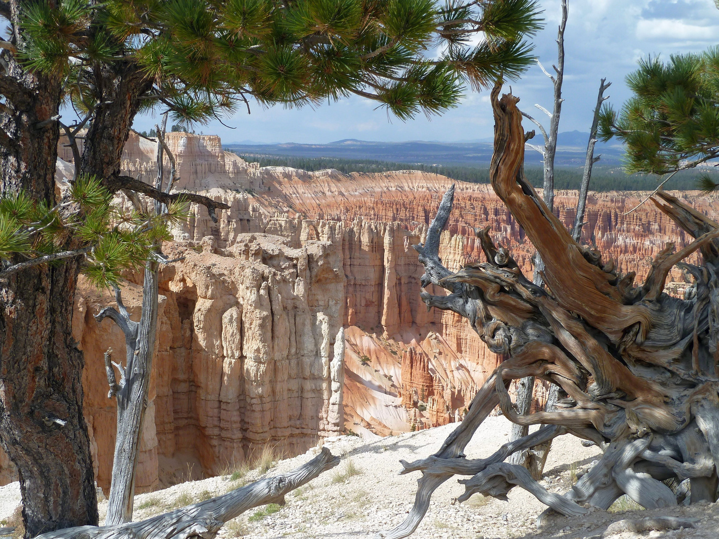 Bryce NP