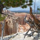 Bryce NP