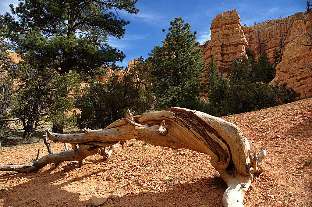 Bryce NP