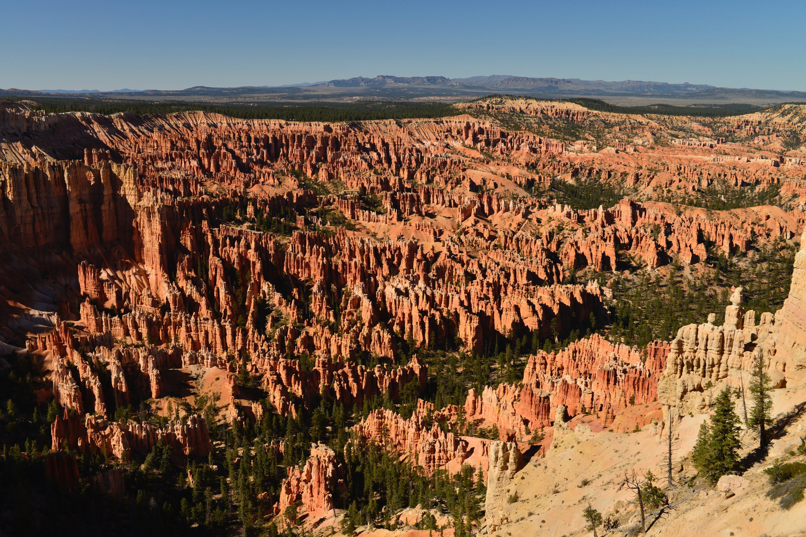 Bryce NP