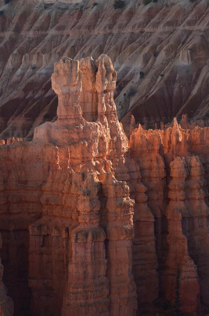 Bryce NP