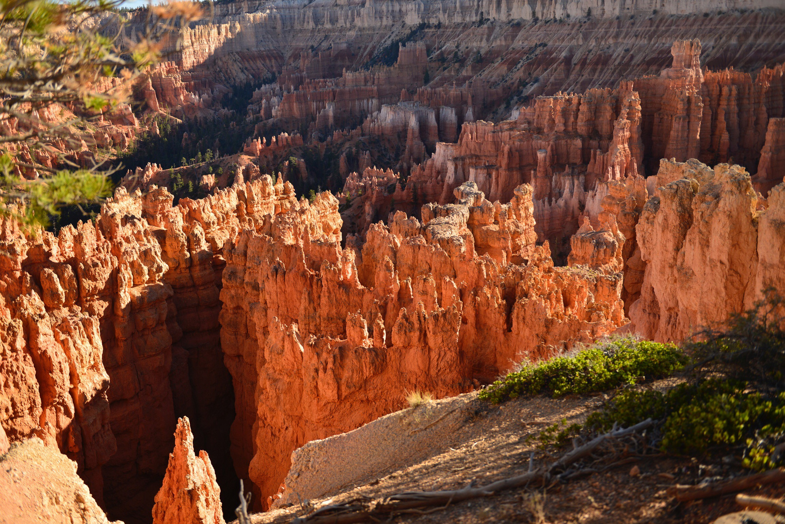 Bryce NP