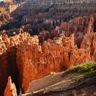 Bryce NP