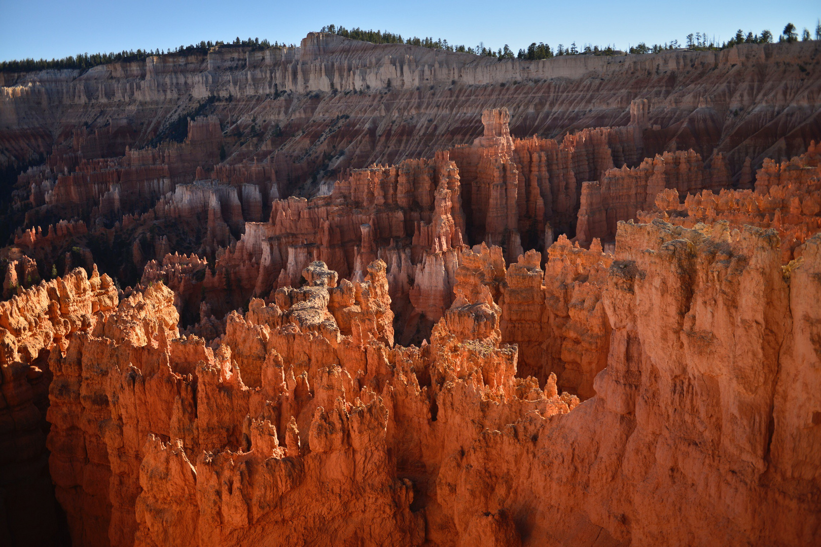 Bryce NP