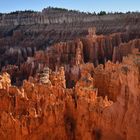 Bryce NP