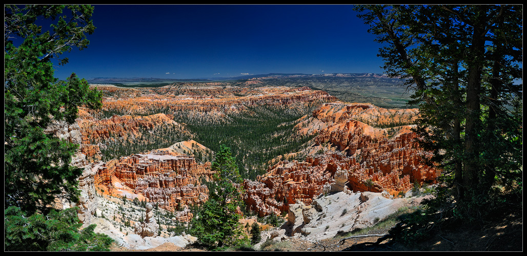 .... Bryce Pano ....