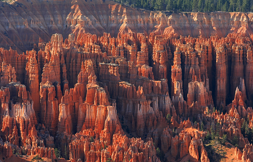 Bryce Point