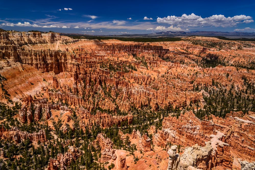 Bryce Point, Bryce Canyon NP, Utah, USA