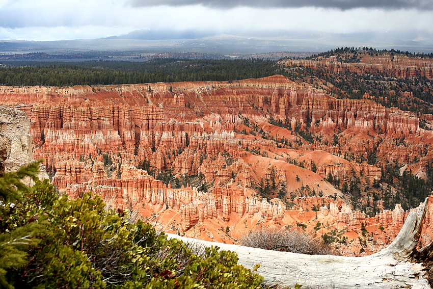 Bryce Point