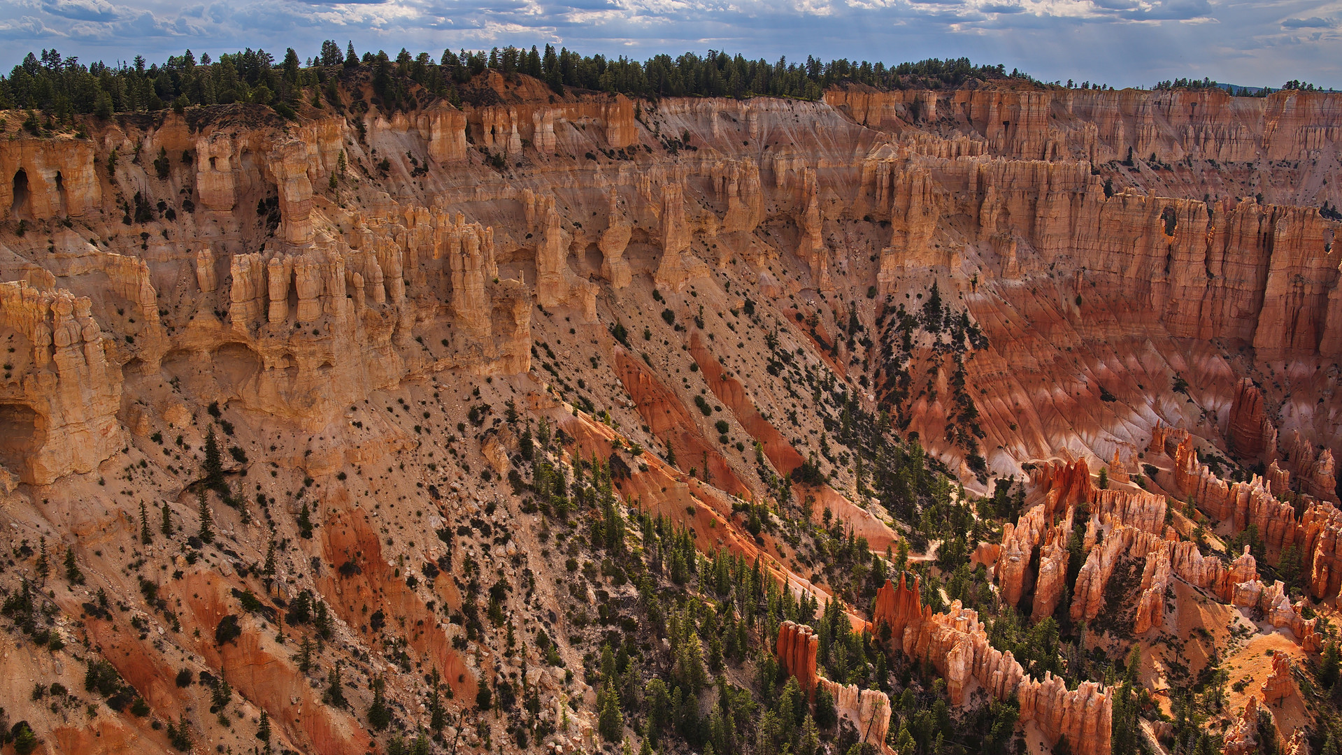 Bryce Point View