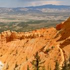 Bryce Scenic