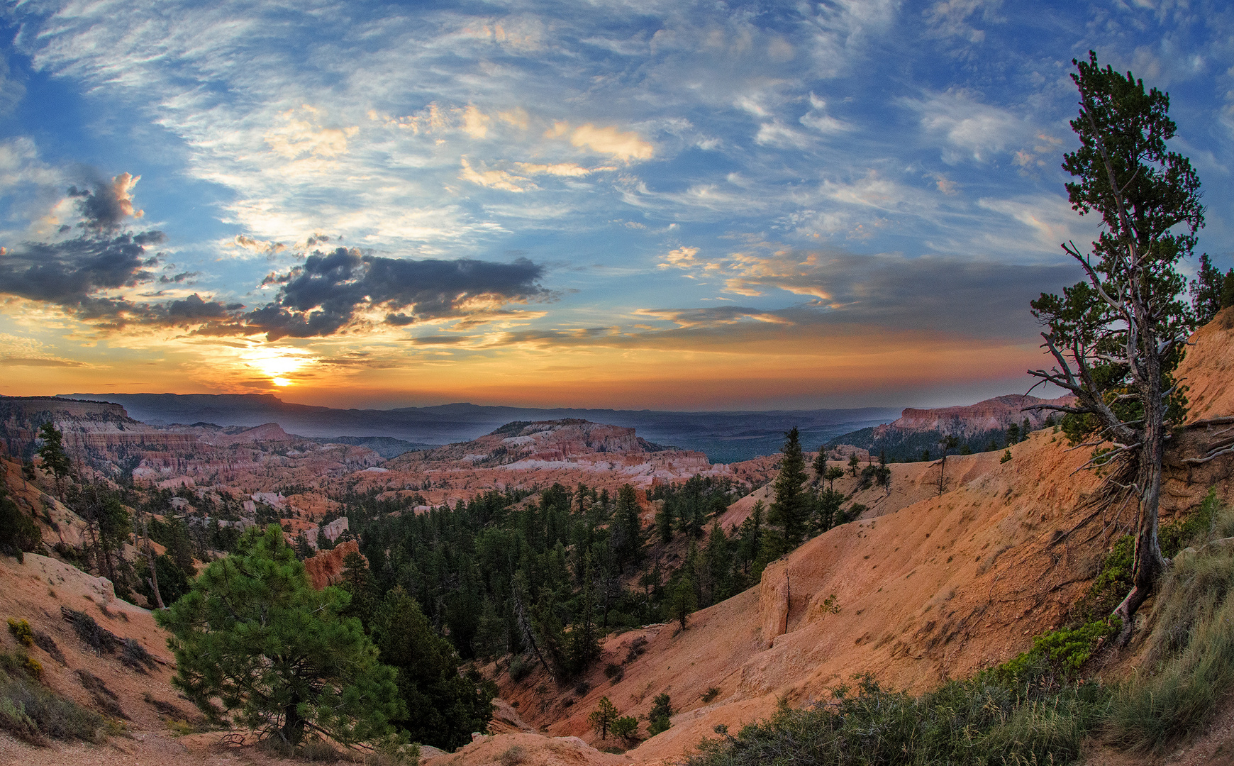 Bryce Sunrise