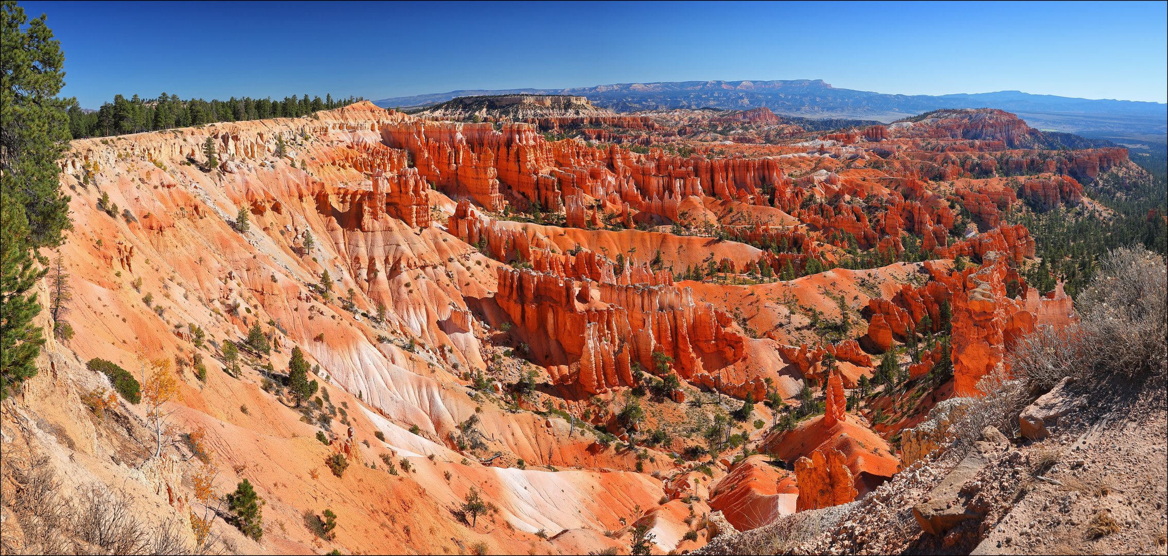 ~ Bryce Wonderland I ~