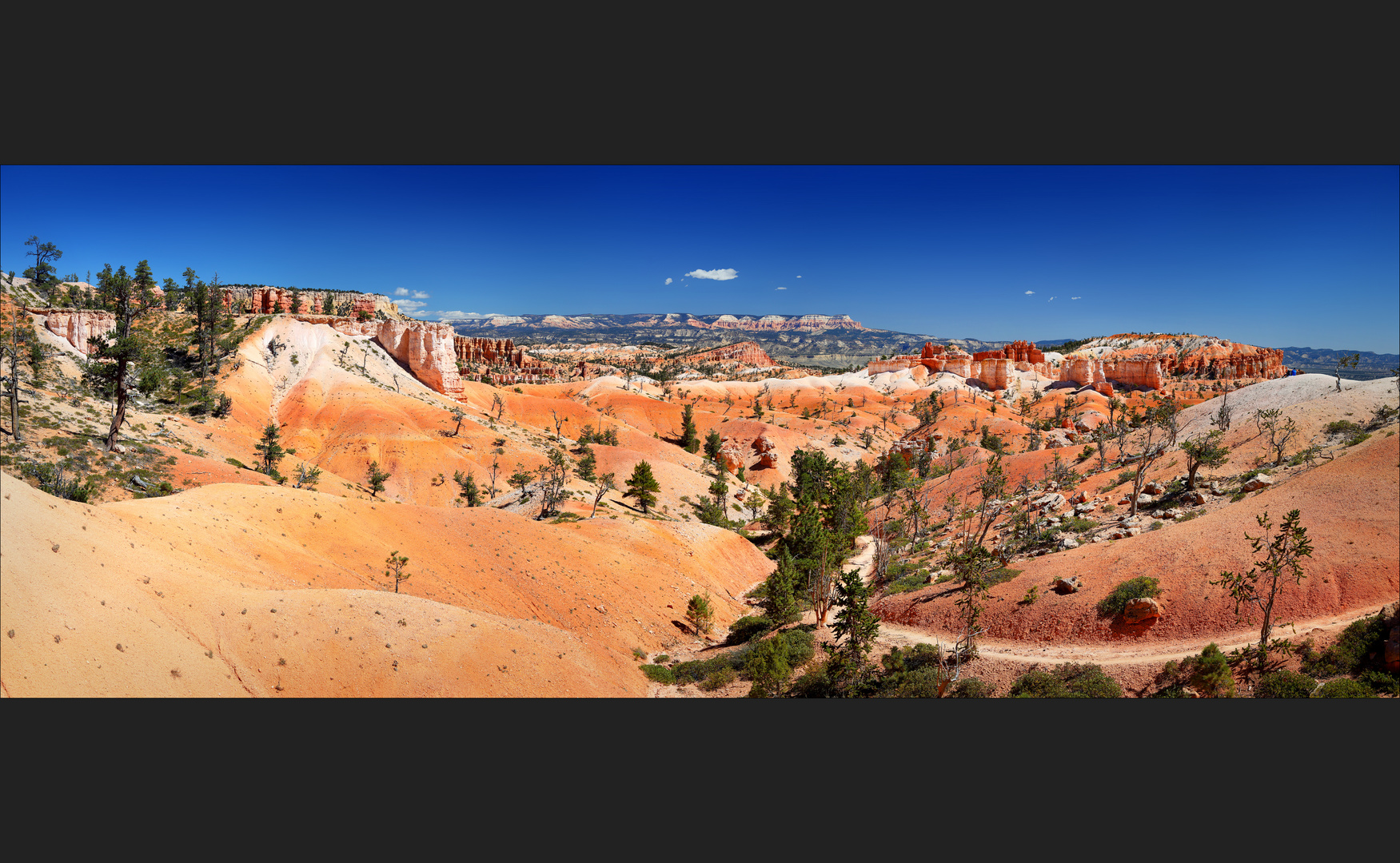 ~ Bryce Wonderland V ~