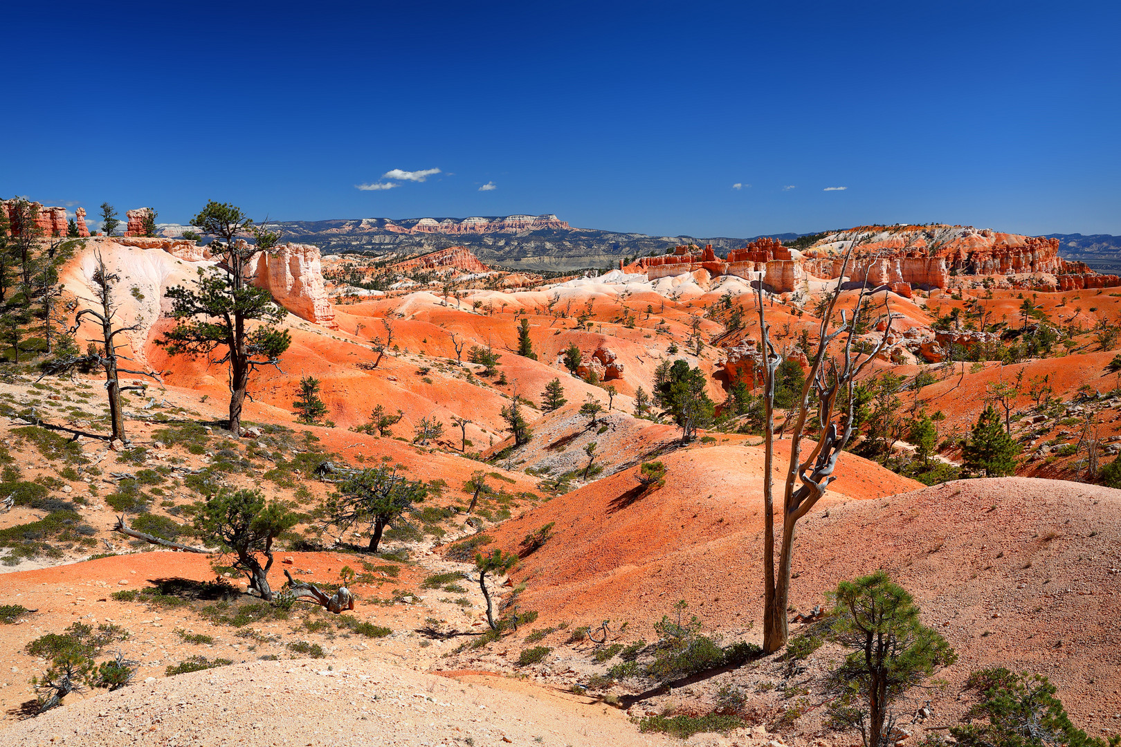 ~ Bryce Wonderland VI ~