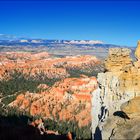 ~ Bryce Wonderland VIII ~