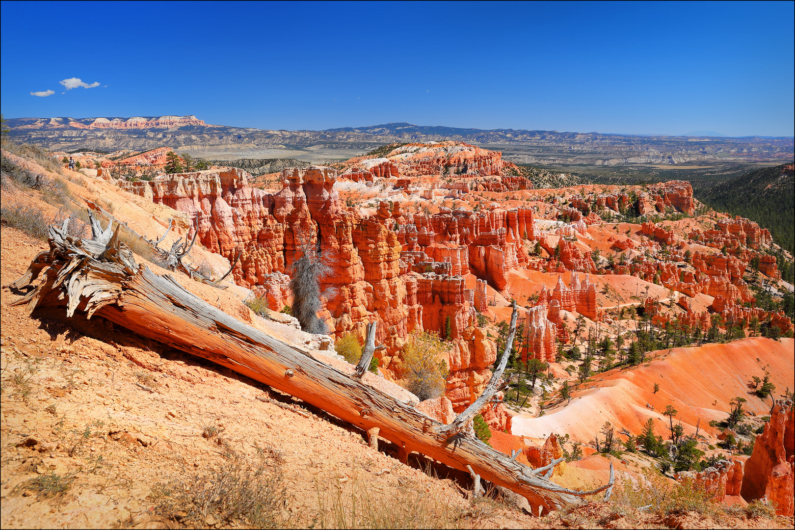 ~ Bryce Wonderland VIII ~