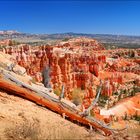 ~ Bryce Wonderland VIII ~