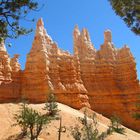 Bryce- Wunderland der Felsen