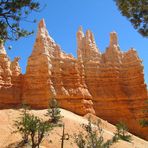 Bryce- Wunderland der Felsen