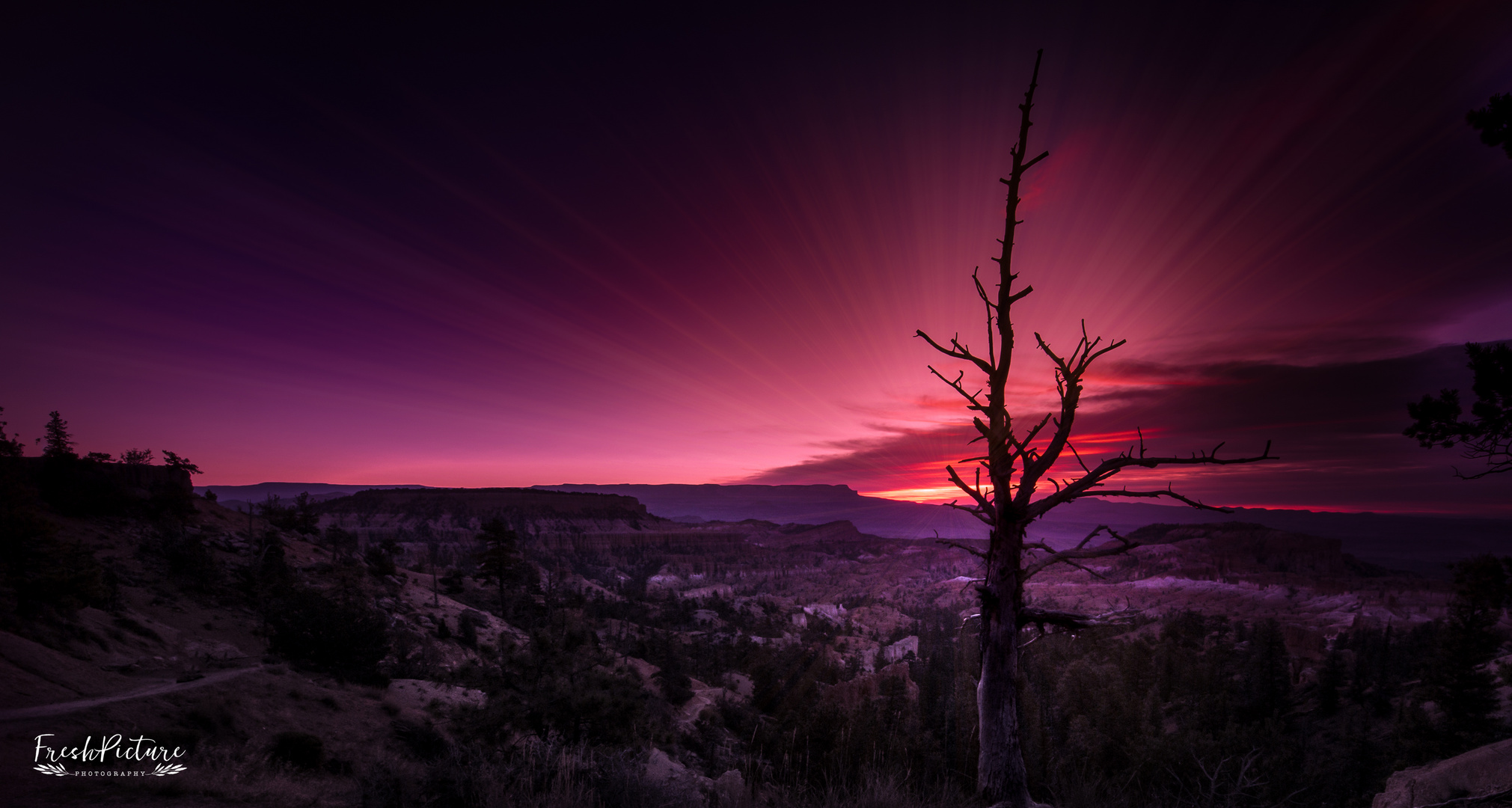 BryceCanyon.