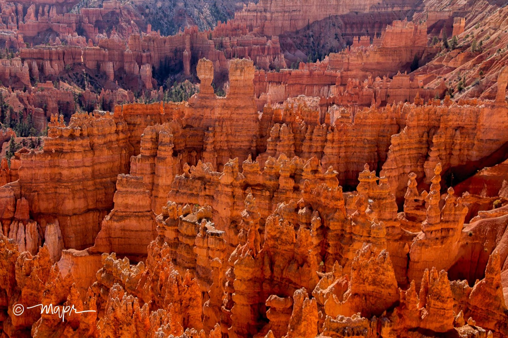 Brycepoint Bryce Canyon
