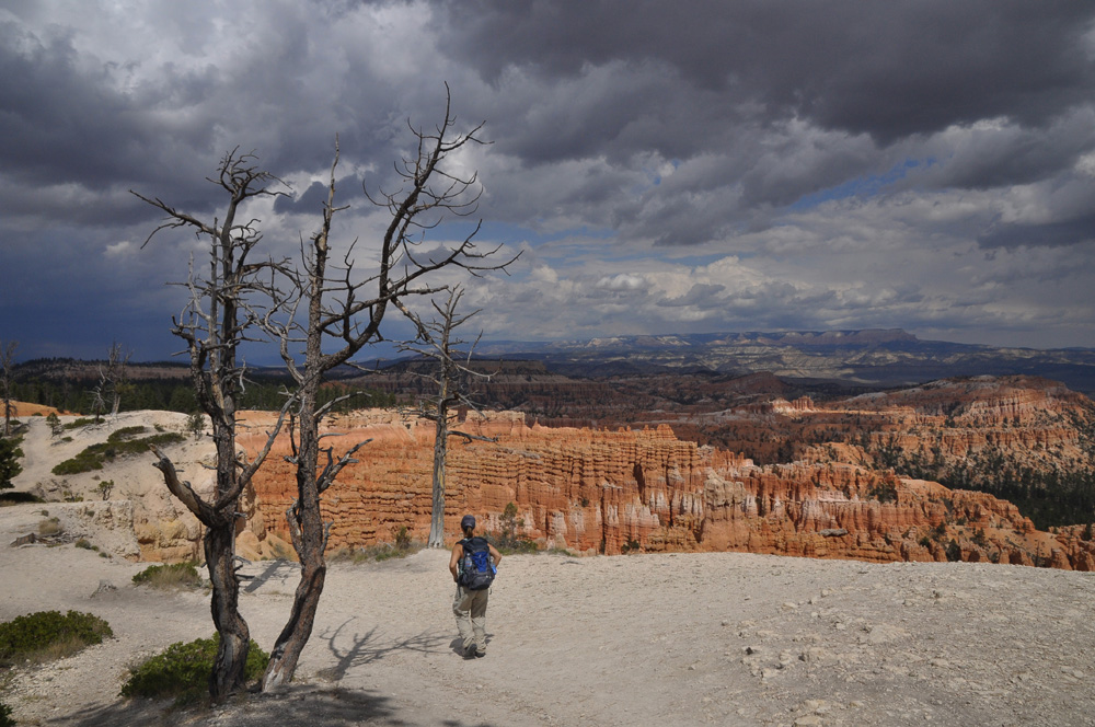 Brye canyon after rain