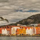 - Bryggen -