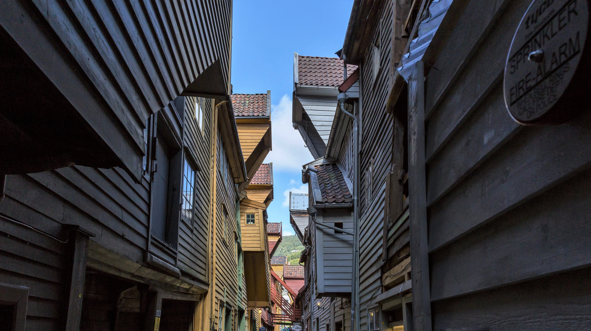 Bryggen